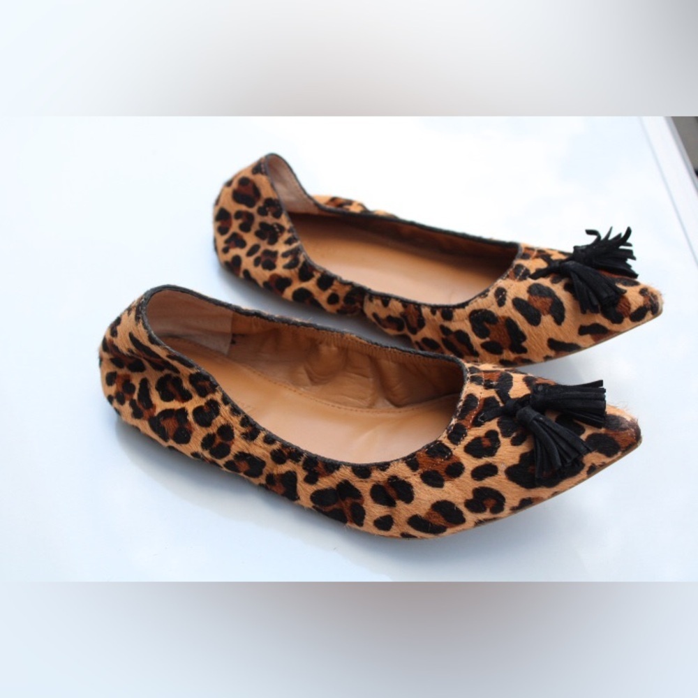J. Crew factory pointy toe flats